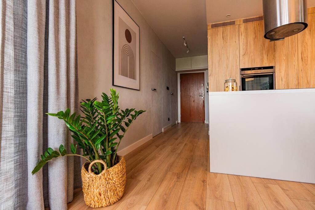 Apartament Na Grabiszynskiej 브로츠와프 외부 사진