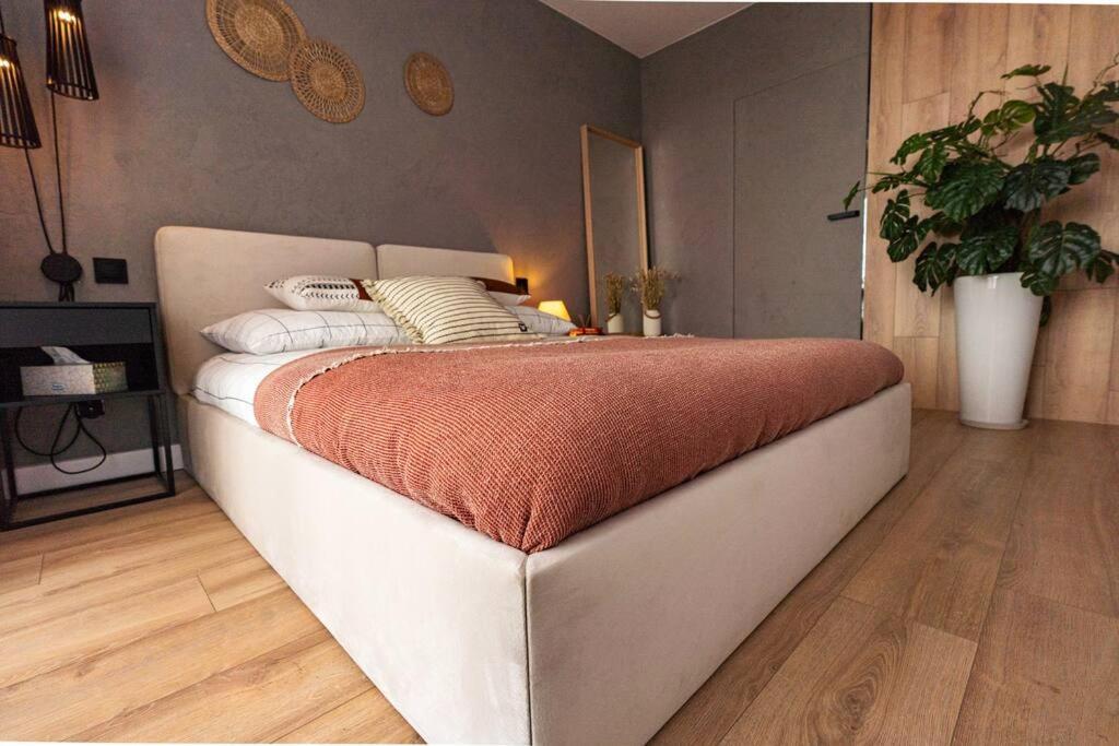 Apartament Na Grabiszynskiej 브로츠와프 외부 사진